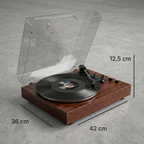 Platine Vinyle Malo